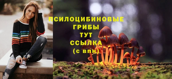 соль ск Протвино