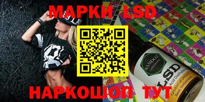 кокс Гатчина