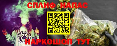 гашик Гагарин