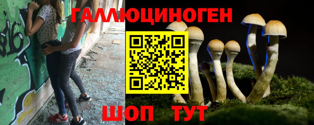Богданович  наркошоп  Вход с VPN  Псилоцибиновые грибы Psilocybe 