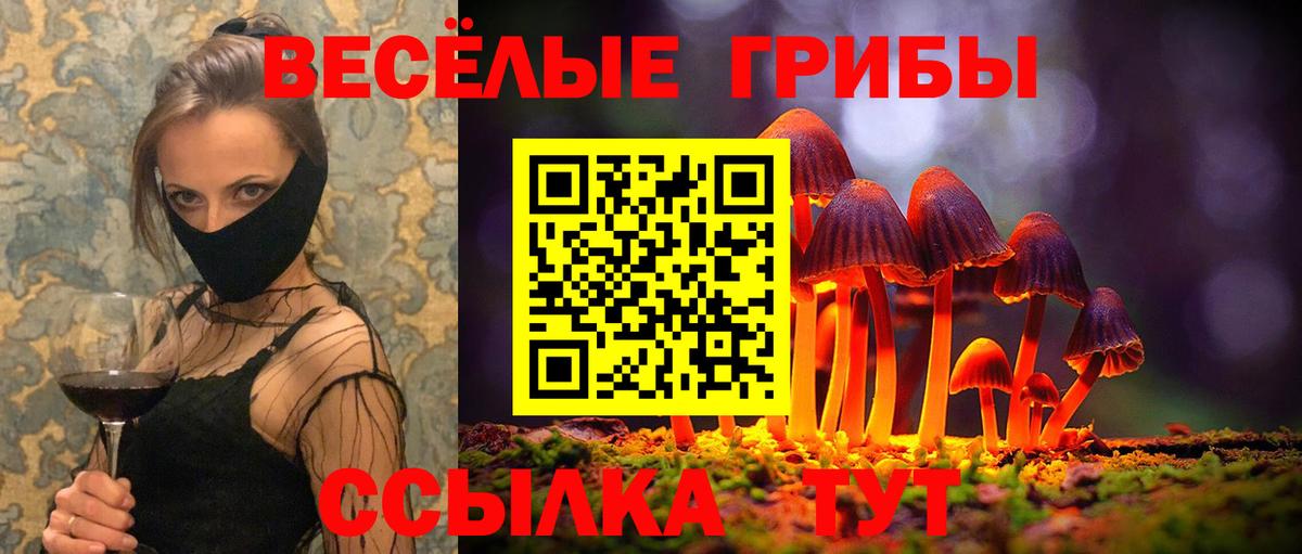 Псилоцибиновые грибы прущие грибы  Богданович  Псилоцибиновые грибы мухоморы 