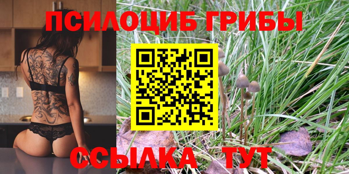 Псилоцибиновые грибы Cubensis Богданович